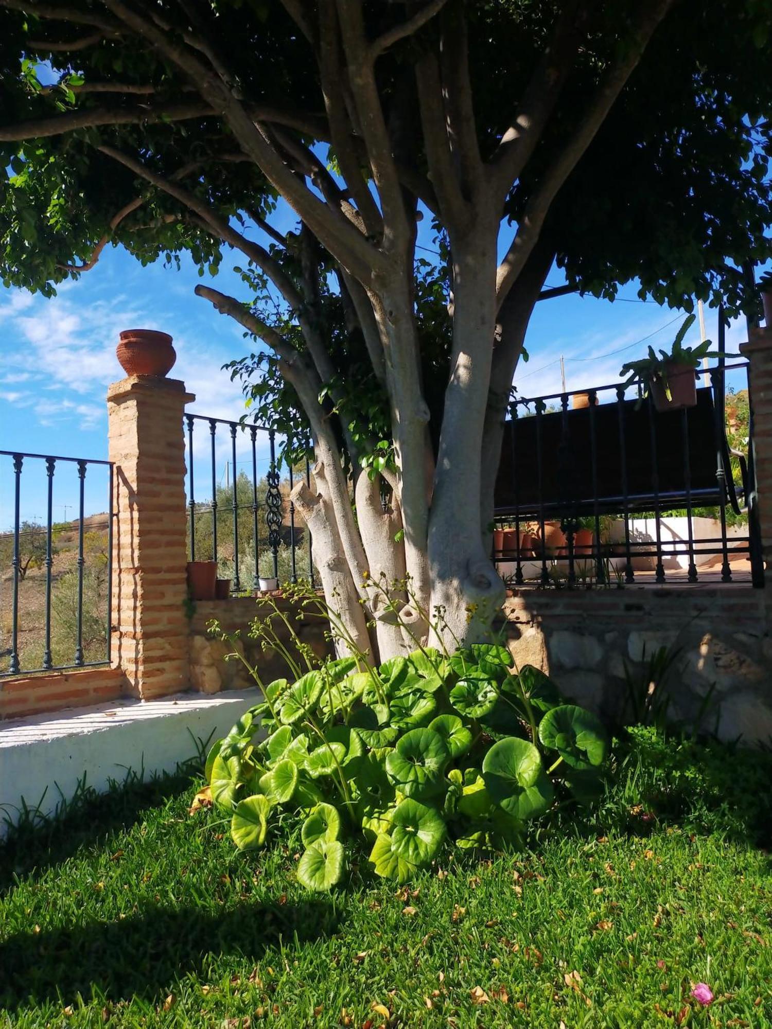 Paraje El Pozo Málaga Eksteriør bilde